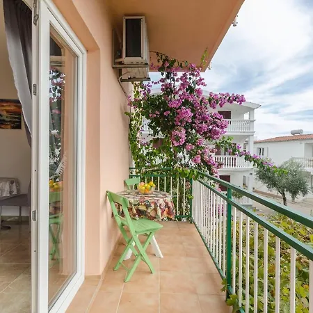 Amarilis Vodice